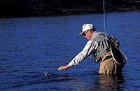 Fishing on the White River