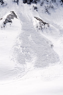 Avalanches in freeride