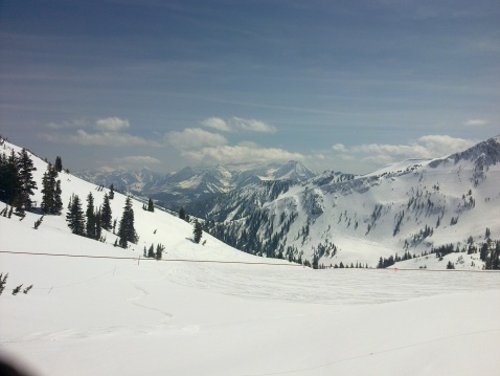 alta-snowbird