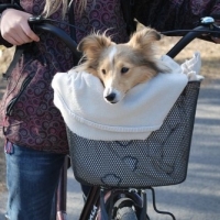 Bicycle Baskets For Dogs!
