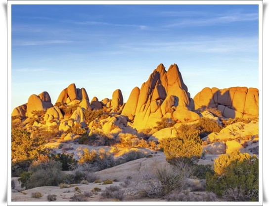 Joshua Tree National Park