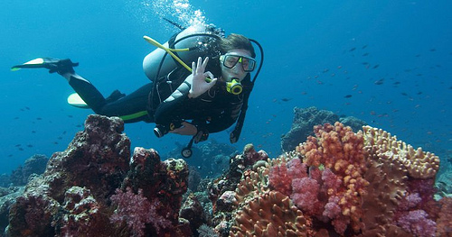 diving in Maldives