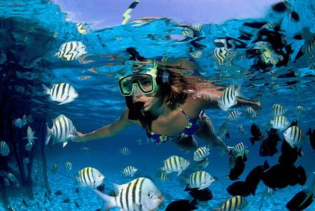 scuba diving in Cancun