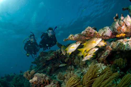 Florida City Scuba Diving