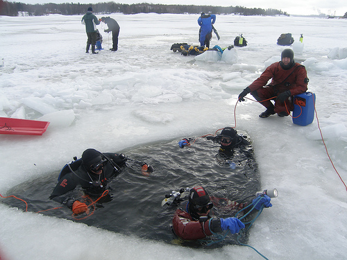 Bubble trio going in for second dive