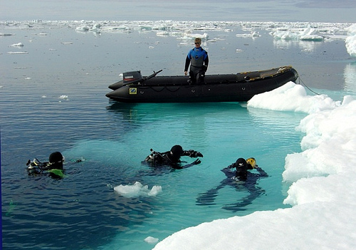 Scuba Diving in the Antarctic