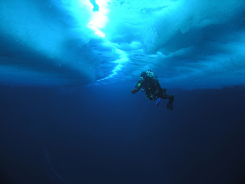 Scuba Diving in the Antarctic