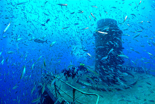 Sinking the Vandenberg