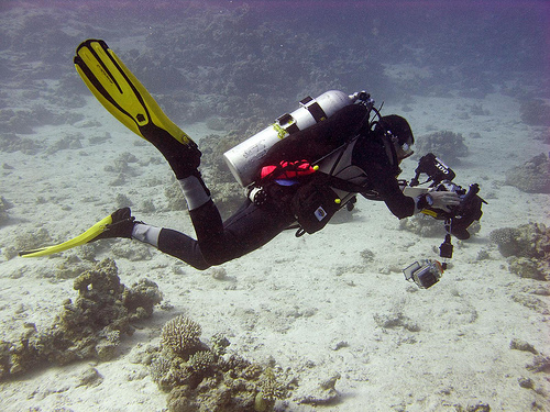 Divers hunting for photos