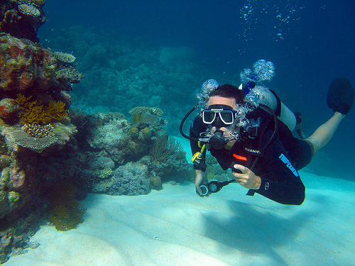 diving the great barrier reef