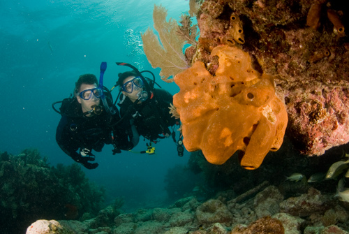 Florida City Scuba Diving