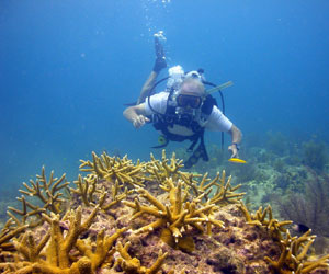 Florida Keys National Marine Sanctuary