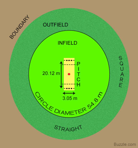 cricket-field-layout