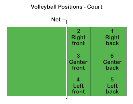 Court positions