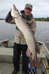 Fishing Articles : Pike Lure Patterns